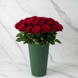 explorer rožė 70 cm (ekvadorinė)