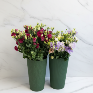 Pagrindinis skintos eustomos (mix) – 1 vnt.